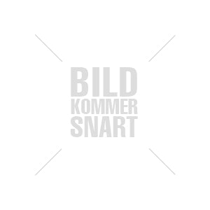 BRISHA HAIR BRUSH - Best Clothes