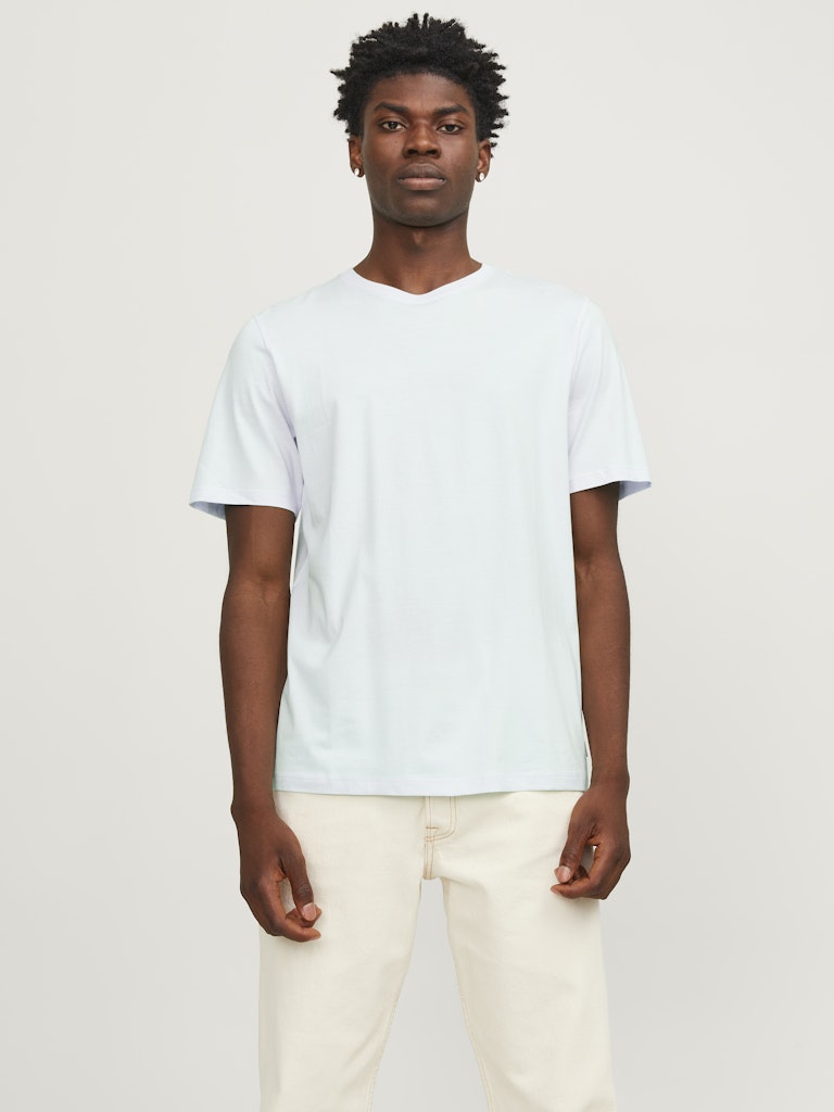 ORGANIC BASIC TEE SS O-NECK - Best clothes.