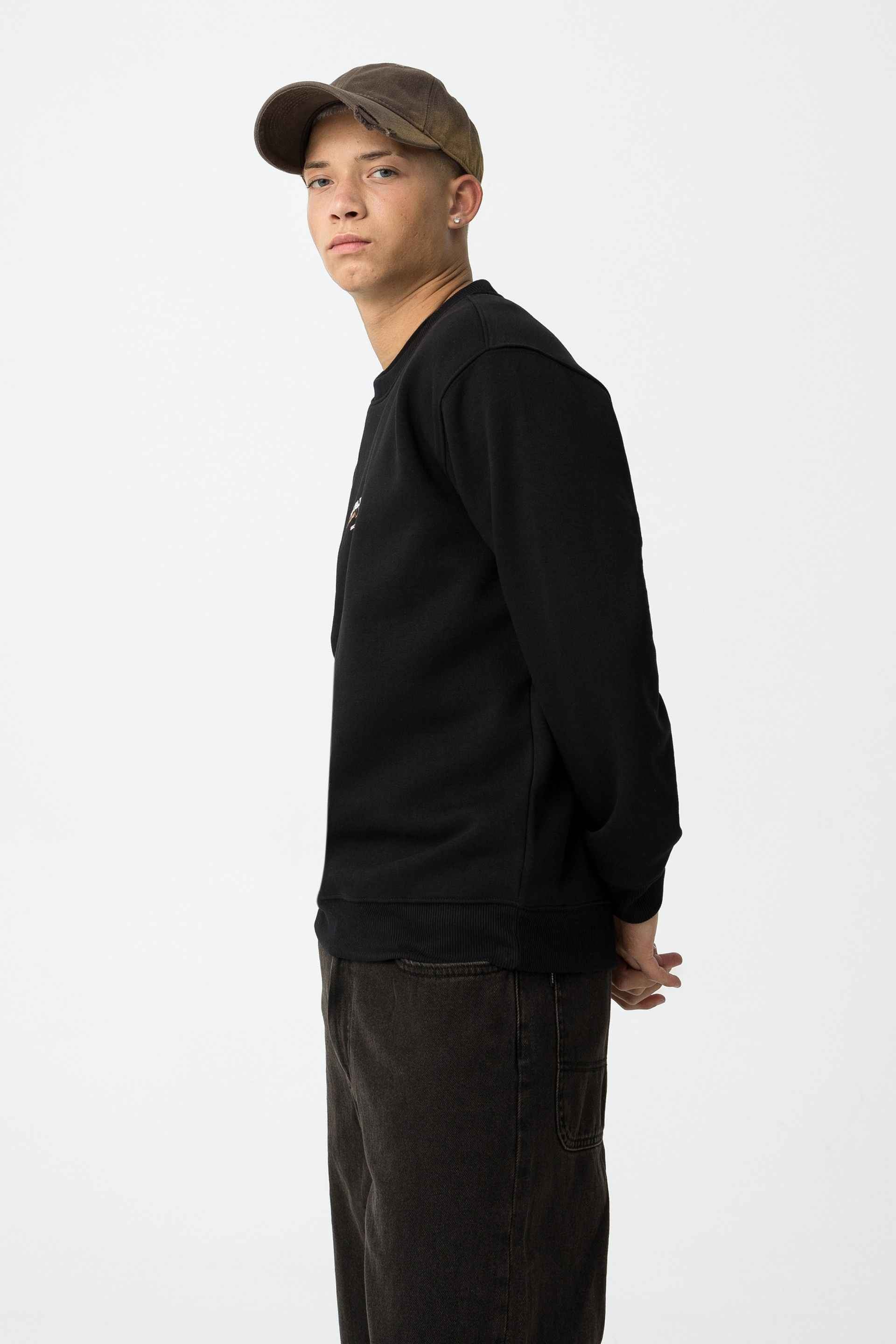 NEWTON SWEATSHIRT STREETWEAR STYLE